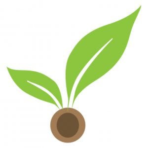 Profile picture for Seedcamp