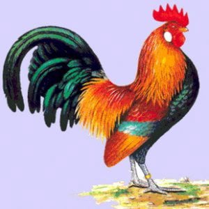 Profile picture for gerald