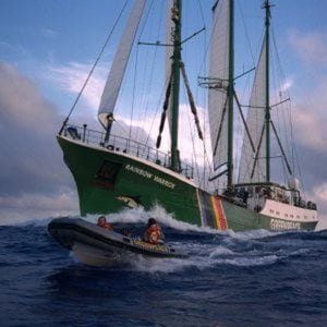 Profile picture for GREENPEACE ITALY