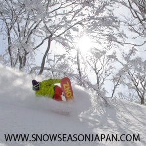 Profile picture for Snow Season Japan