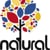 Natural Skateboards Co