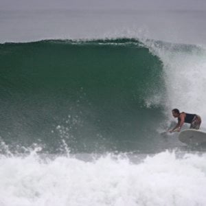 Profile picture for Tom English