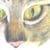 yentihwcat
