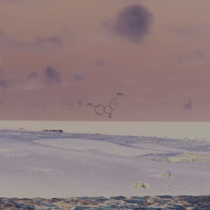 Profile picture for Sean Benik