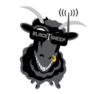 Profile picture for Team BlackSheep