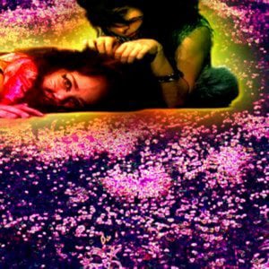 Profile picture for Lauren Diliberto
