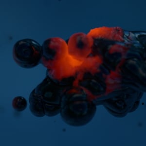 Profile picture for yoonar