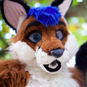 Profile picture for Pony