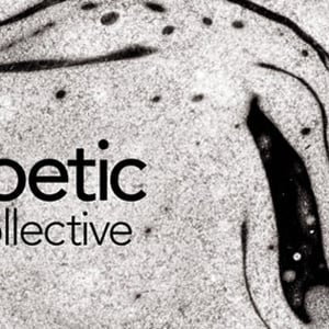 Profile picture for Poetic