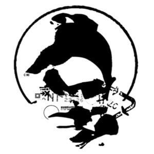 Profile picture for Digital Slaves
