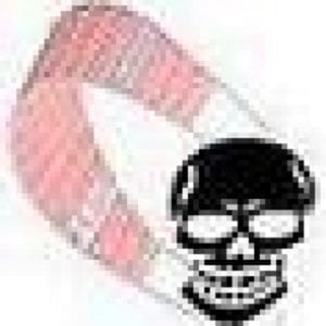 Profile picture for airraider666