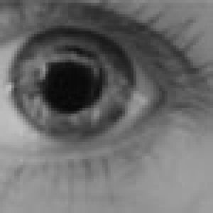 Profile picture for Magpie's Eyes