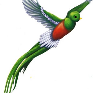 Profile picture for Producciones "EL Quetzal"
