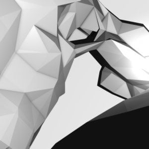 Profile picture for Simon Geilfus