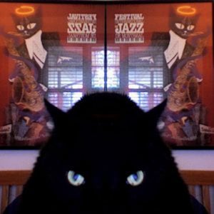 Profile picture for Chairman Meow