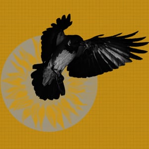 Profile picture for Jai Arun Ravine