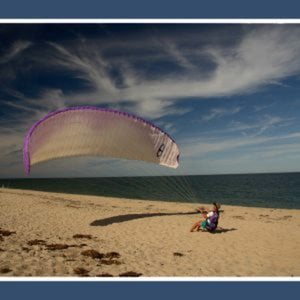 Profile picture for peter williams