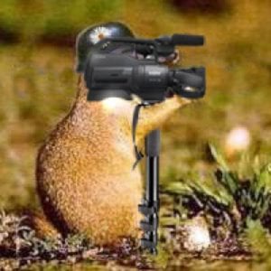 Profile picture for Topillo (A.Leal)
