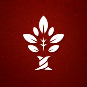 Profile picture for CiRCE TV