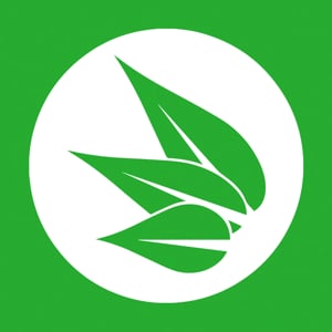 Profile picture for Central Christian Church