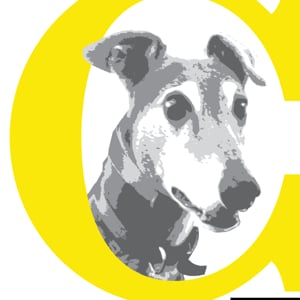 Profile picture for The Chalk VFX