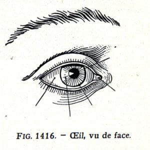 Profile picture for Eyes_For_Ears