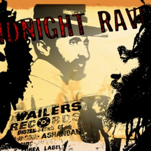 Profile picture for midnightraverblog.com