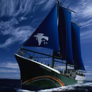 Profile picture for Greenpeace