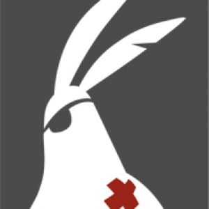 Profile picture for brave rabbit