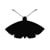 The Moth