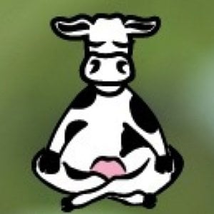 Profile picture for Holy Cow Yoga