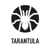 Tarantula Luxembourg
