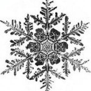 Profile picture for Calebe Lee