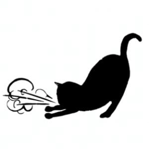 Profile picture for Asthmatic Kitty