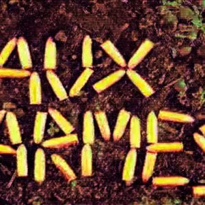 Profile picture for Aux Armes