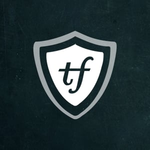 Profile picture for ThemeFuse