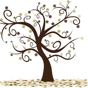 Profile picture for PhotoTree
