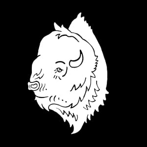 Profile picture for REVELATOR