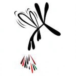 Profile picture for carles porta
