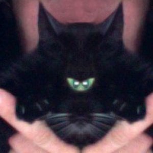 Profile picture for 1010