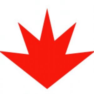 Profile picture for PingMag