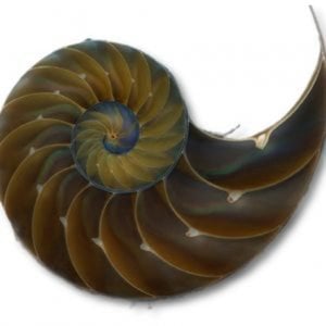 Profile picture for GEA