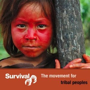 Profile picture for Survival International