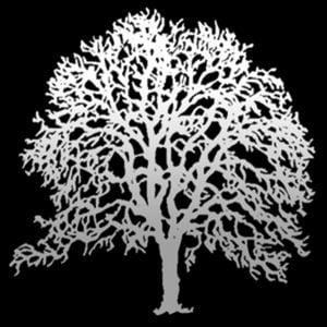 Profile picture for Oakland North