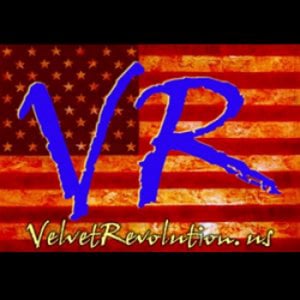 Profile picture for Velvet Revolution