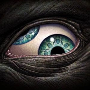 Profile picture for Federico Scarbini