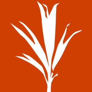Profile picture for Development Seed