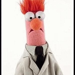 Profile picture for Beaker teh Muppet