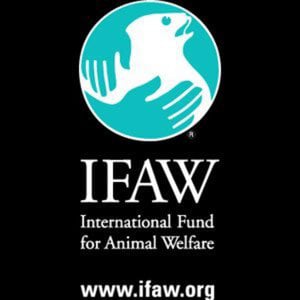 Profile picture for IFAW - Int. Fund for Animal Welf