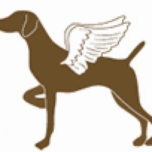 Profile picture for Allison Bozeman